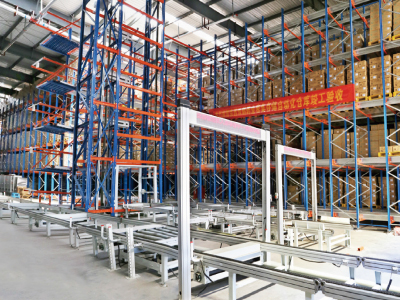 Carrier and shuttle pallet AS/RS